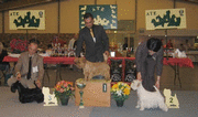 GLENMORE'S YUKON GOLD (champion de france 2006)