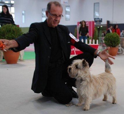 CAC-CACIB  BADAJOZ Espagne