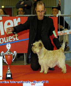 ALDO -1er excellent CAC-CACIB (meilleur de race ) NIORT 2010